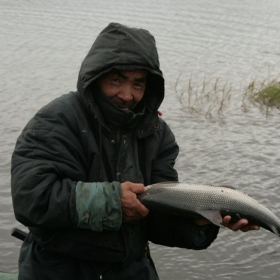 Пойманный в сети щокур (чир) &ndash; представитель рода сигов. Из такой рыбы на Ямале делают строганину или «малосолку».
